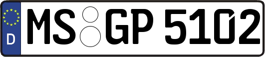 MS-GP5102