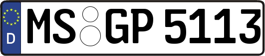 MS-GP5113