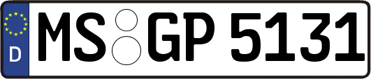 MS-GP5131
