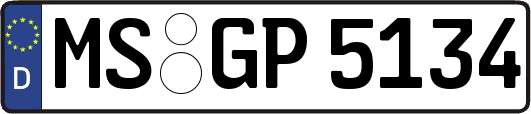 MS-GP5134