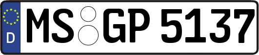 MS-GP5137