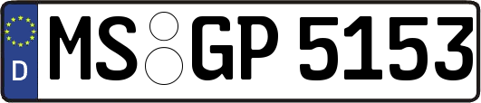 MS-GP5153