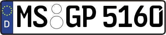 MS-GP5160
