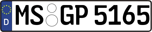 MS-GP5165