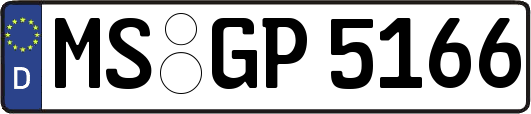 MS-GP5166