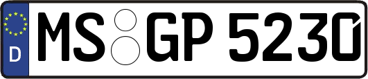MS-GP5230