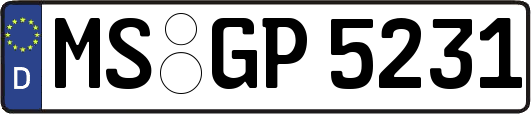 MS-GP5231