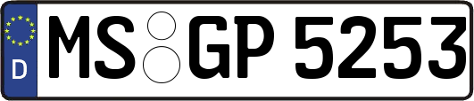MS-GP5253