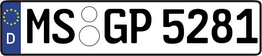 MS-GP5281