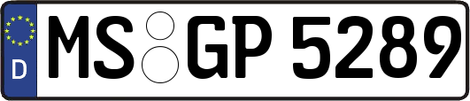 MS-GP5289