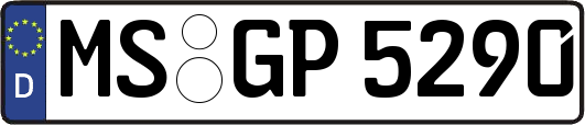 MS-GP5290