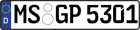 MS-GP5301
