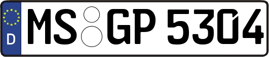 MS-GP5304