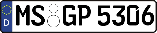 MS-GP5306