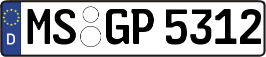 MS-GP5312