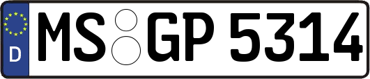 MS-GP5314