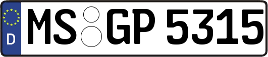 MS-GP5315