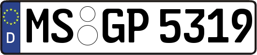 MS-GP5319