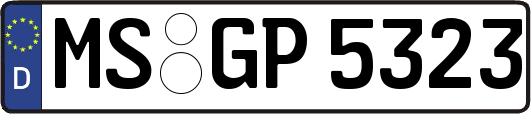MS-GP5323