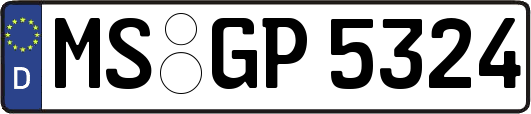 MS-GP5324