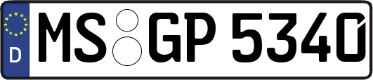 MS-GP5340