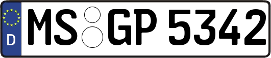 MS-GP5342