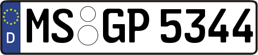 MS-GP5344