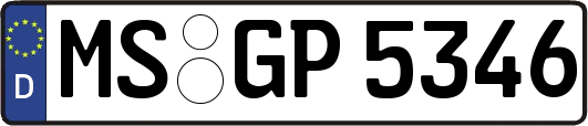 MS-GP5346