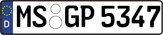 MS-GP5347