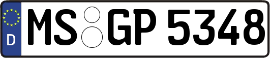 MS-GP5348