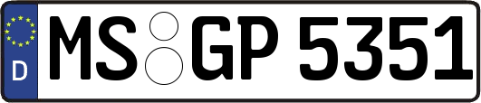 MS-GP5351