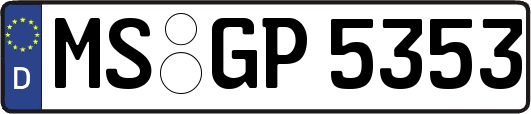 MS-GP5353