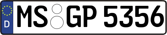 MS-GP5356