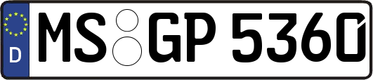 MS-GP5360