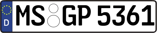 MS-GP5361