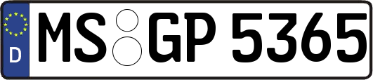 MS-GP5365