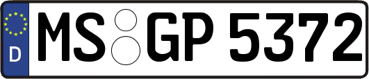 MS-GP5372