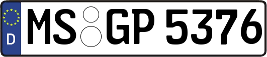 MS-GP5376