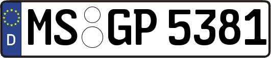 MS-GP5381