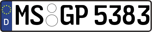 MS-GP5383