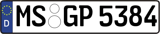 MS-GP5384