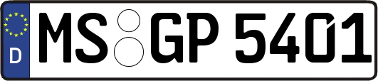 MS-GP5401