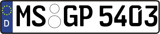 MS-GP5403