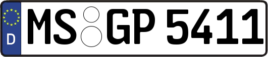MS-GP5411