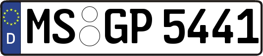 MS-GP5441