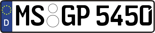 MS-GP5450