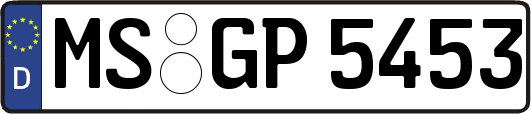 MS-GP5453