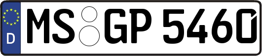 MS-GP5460
