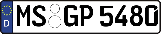 MS-GP5480