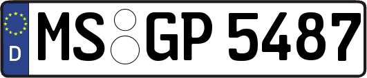 MS-GP5487